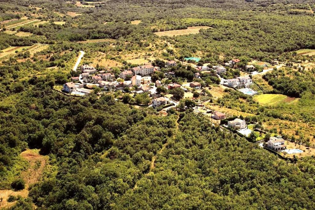 Villa Rustica Buje Exteriér fotografie